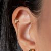 Labreta / cartilage piercing - šipka (1,2 x 8 mm)