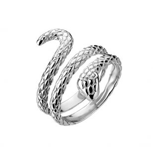 Ocelový prsten had
